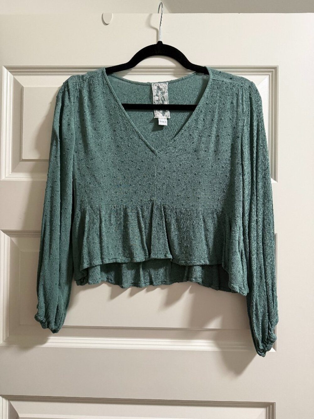 Sadie & Sage Green Dotted Swiss Long Sleeve Top in size S